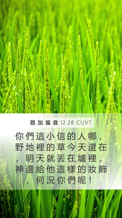 路 加 福 音 12:28 CUVT Bible Verse Image