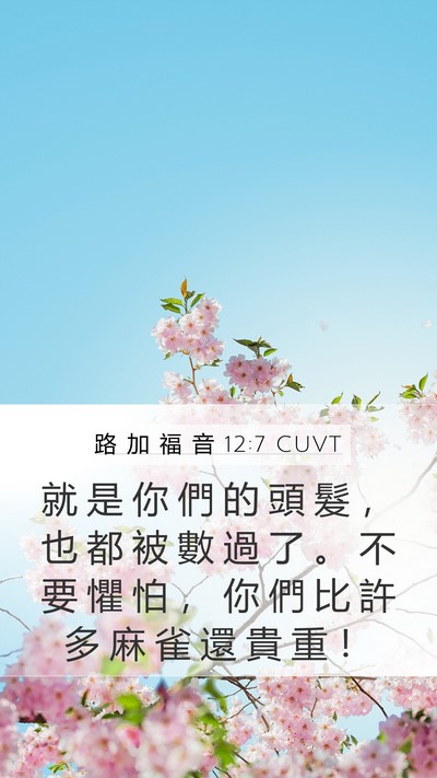 路 加 福 音 12:7 CUVT Mobile Phone Wallpaper - 就 是 你 們 的 頭 髮 ， 也 都 被 數 - Mobile Bible Verse Wallpaper