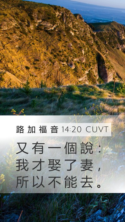 路 加 福 音 14:20 CUVT Mobile Phone Wallpaper - 又 有 一 個 說 ： 我 才 娶 了 妻 ， - Mobile Bible Verse Wallpaper
