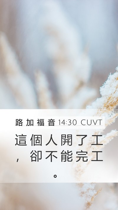 路 加 福 音 14:30 CUVT Bible Verse Image