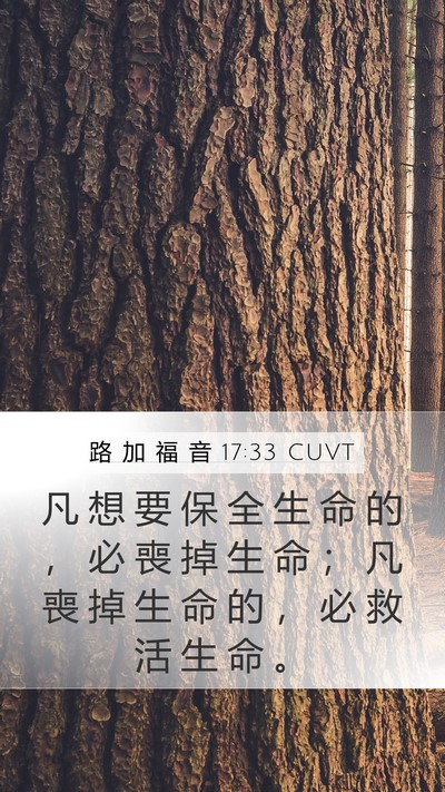 路 加 福 音 17:33 CUVT Mobile Phone Wallpaper - 凡 想 要 保 全 生 命 的 ， 必 喪 掉 - Mobile Bible Verse Wallpaper