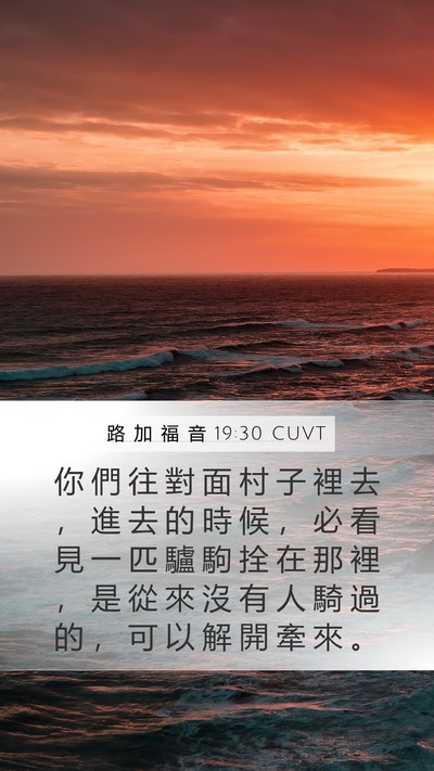 路 加 福 音 19:30 CUVT Bible Verse Image