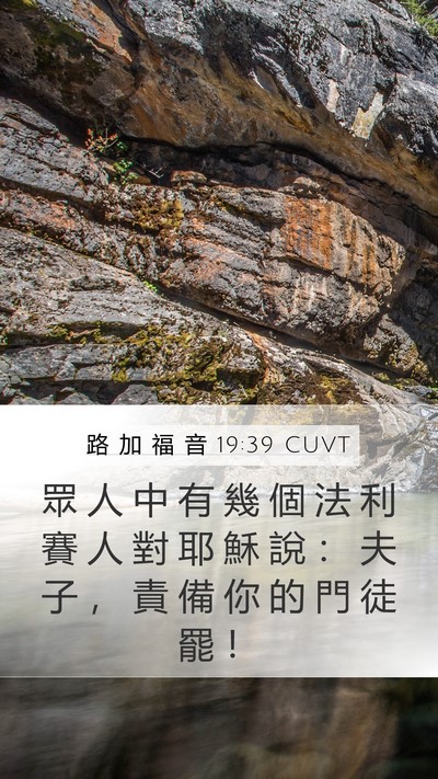 路 加 福 音 19:39 CUVT Bible Verse Image