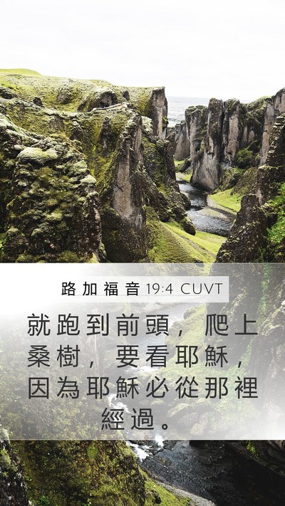 路 加 福 音 19:4 CUVT Bible Verse Image