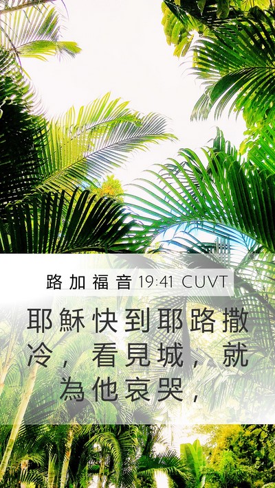 路 加 福 音 19:41 CUVT Bible Verse Image