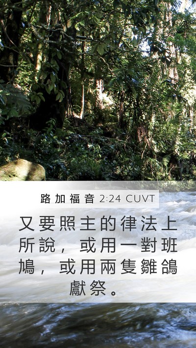 路 加 福 音 2:24 CUVT Bible Verse Image