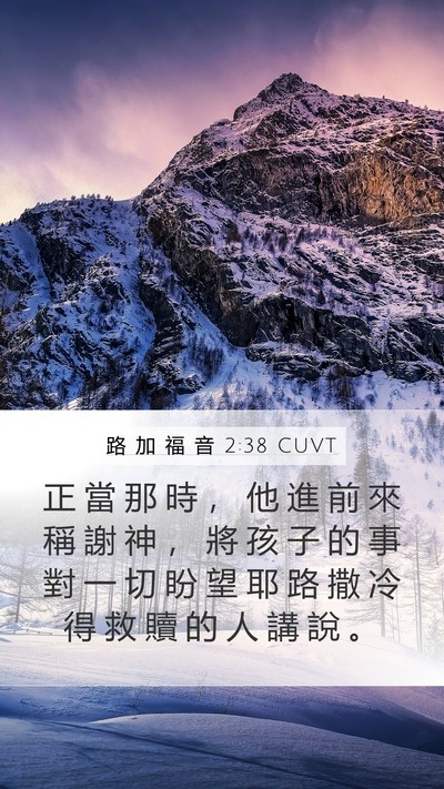 路 加 福 音 2:38 CUVT Mobile Phone Wallpaper - 正 當 那 時 ， 他 進 前 來 稱 謝 神 - Mobile Bible Verse Wallpaper