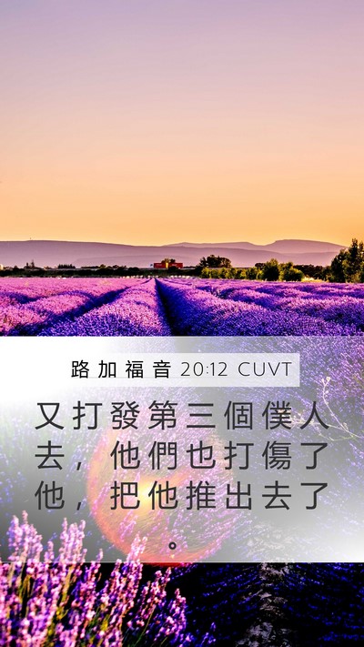 路 加 福 音 20:12 CUVT Bible Verse Image