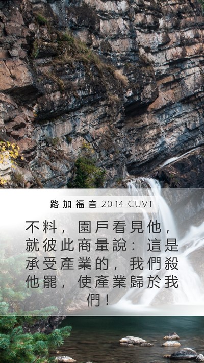 路 加 福 音 20:14 CUVT Bible Verse Image