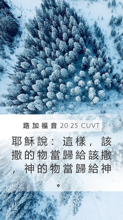 路 加 福 音 20:25 CUVT Mobile Phone Wallpaper - 耶 穌 說 ： 這 樣 ， 該 撒 的 物 當 - Mobile Bible Verse Wallpaper