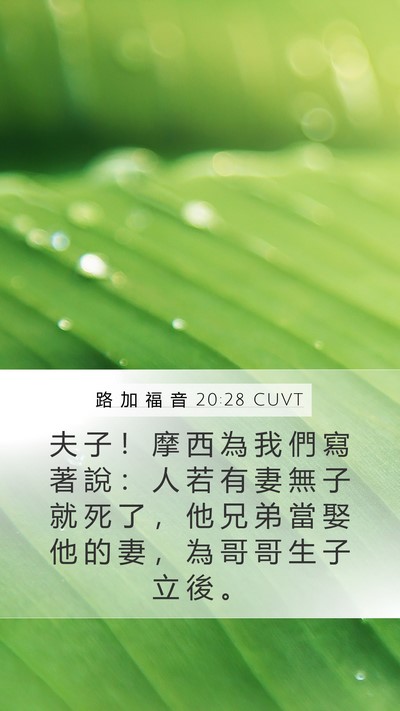 路 加 福 音 20:28 CUVT Bible Verse Image