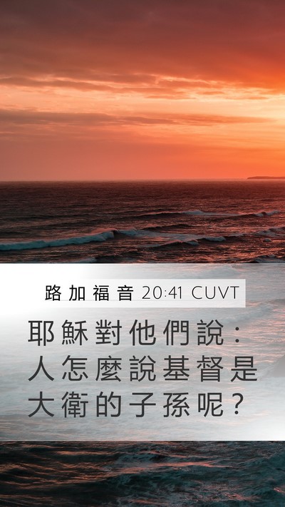 路 加 福 音 20:41 CUVT Mobile Phone Wallpaper - 耶 穌 對 他 們 說 ： 人 怎 麼 說 基 - Mobile Bible Verse Wallpaper