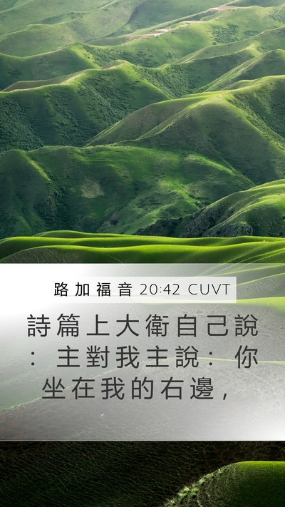 路 加 福 音 20:42 CUVT Bible Verse Image