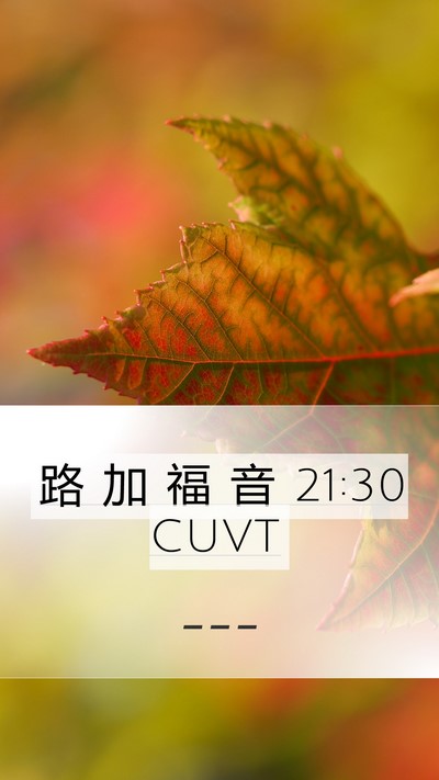 路 加 福 音 21:30 CUVT Mobile Phone Wallpaper -  - Mobile Bible Verse Wallpaper
