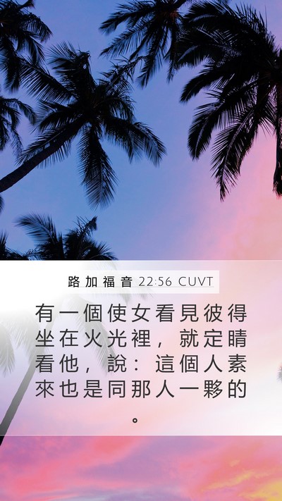 路 加 福 音 22:56 CUVT Bible Verse Image