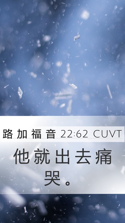 路 加 福 音 22:62 CUVT Bible Verse Image