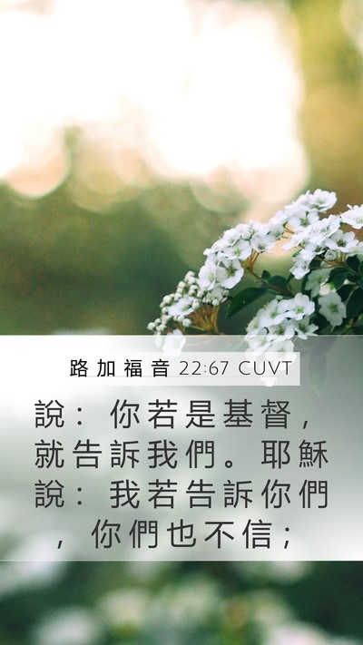 路 加 福 音 22:67 CUVT Mobile Phone Wallpaper - 說 ： 你 若 是 基 督 ， 就 告 訴 我 - Mobile Bible Verse Wallpaper