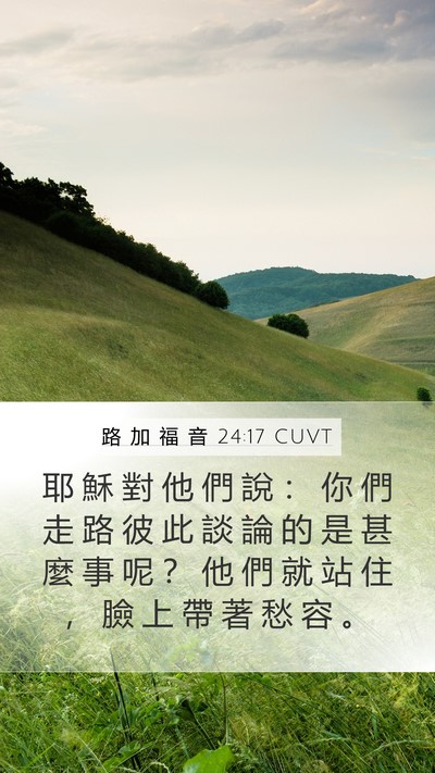 路 加 福 音 24:17 CUVT Bible Verse Image