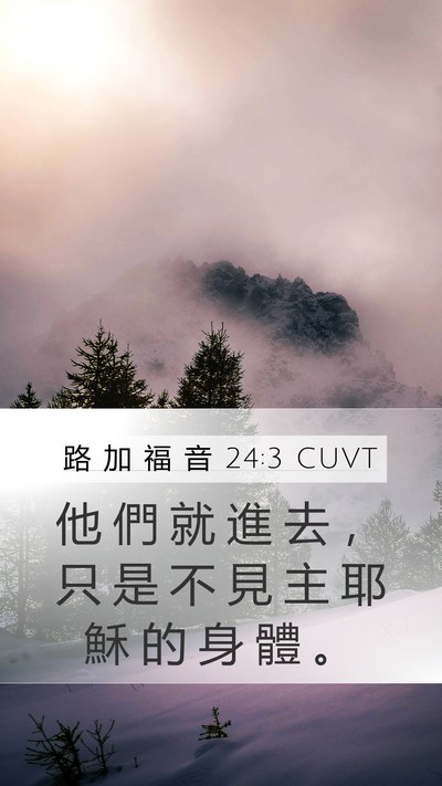 路 加 福 音 24:3 CUVT Mobile Phone Wallpaper - 他 們 就 進 去 ， 只 是 不 見 主 耶 - Mobile Bible Verse Wallpaper