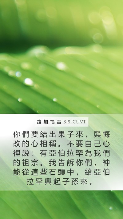 路 加 福 音 3:8 CUVT Bible Verse Image