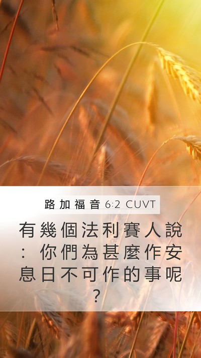 路 加 福 音 6:2 CUVT Bible Verse Image
