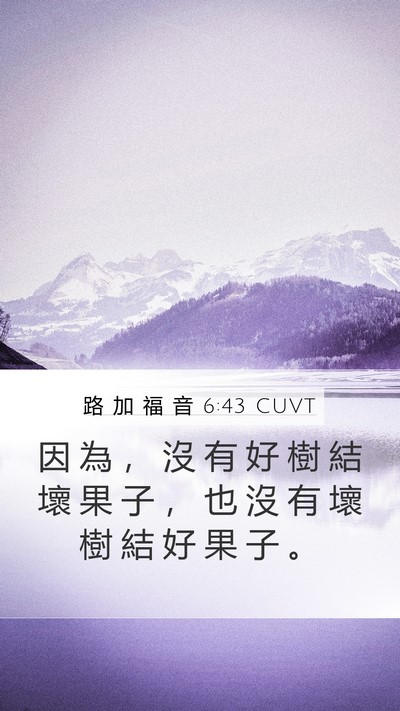 路 加 福 音 6:43 CUVT Bible Verse Image