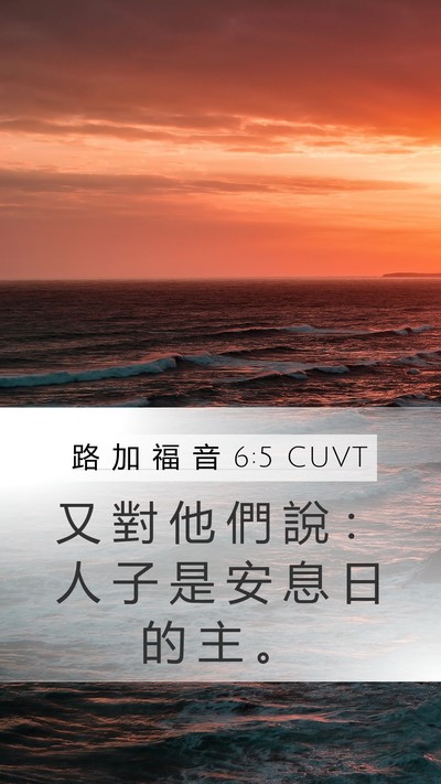 路 加 福 音 6:5 CUVT Bible Verse Image
