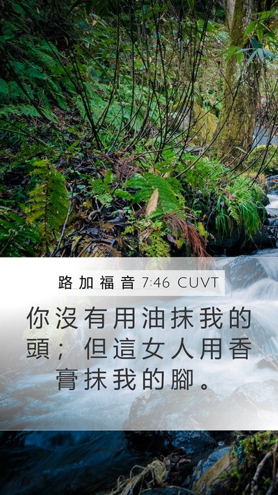 路 加 福 音 7:46 CUVT Bible Verse Image