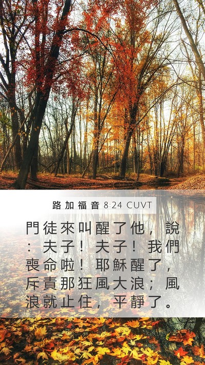 路 加 福 音 8:24 CUVT Bible Verse Image