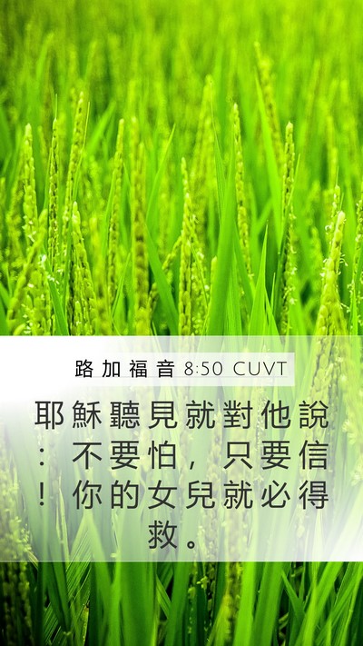 路 加 福 音 8:50 CUVT Bible Verse Image