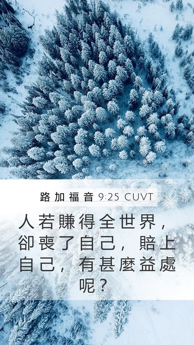 路 加 福 音 9:25 CUVT Bible Verse Image