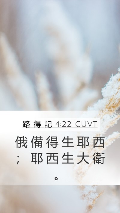 路 得 記 4:22 CUVT Bible Verse Image