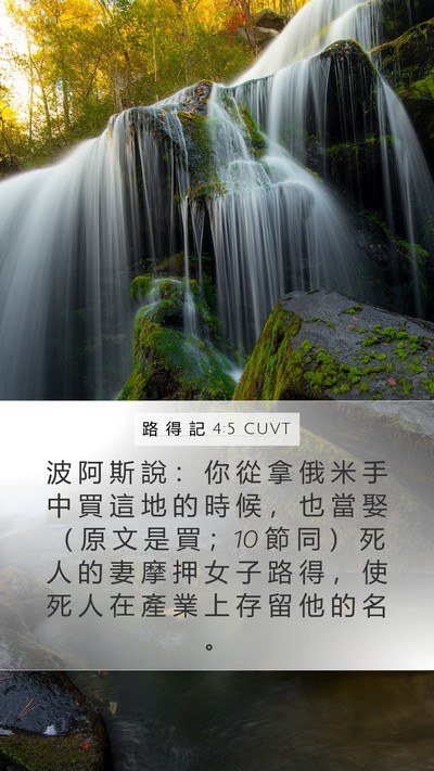路 得 記 4:5 CUVT Bible Verse Image