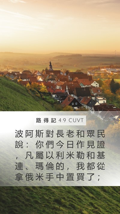 路 得 記 4:9 CUVT Bible Verse Image