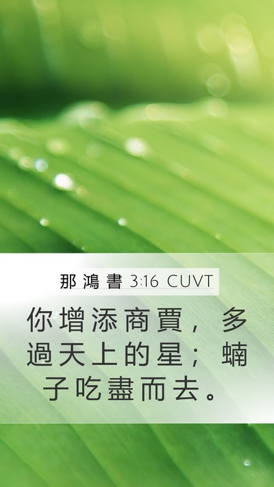 那 鴻 書 3:16 CUVT Mobile Phone Wallpaper - 你 增 添 商 賈 ， 多 過 天 上 的 星 - Mobile Bible Verse Wallpaper