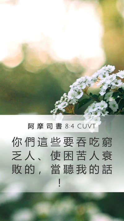 阿 摩 司 書 8:4 CUVT Bible Verse Image