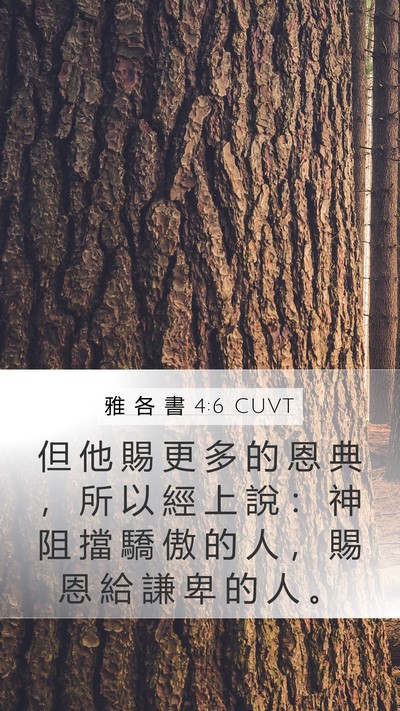 雅 各 書 4:6 CUVT Bible Verse Image