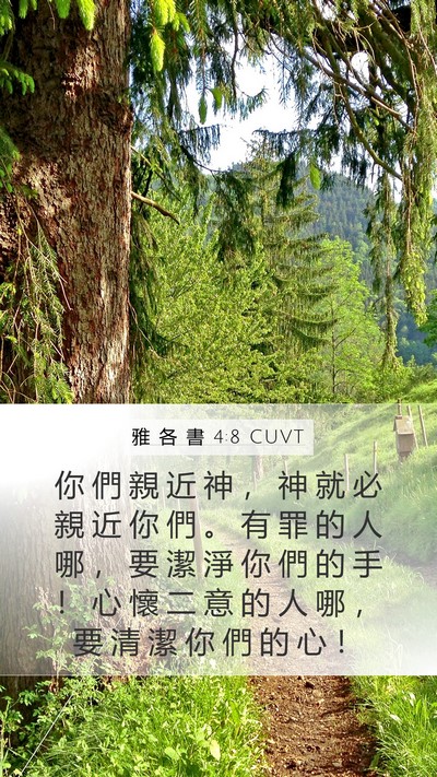 雅 各 書 4:8 CUVT Bible Verse Image