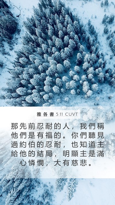 雅 各 書 5:11 CUVT Bible Verse Image