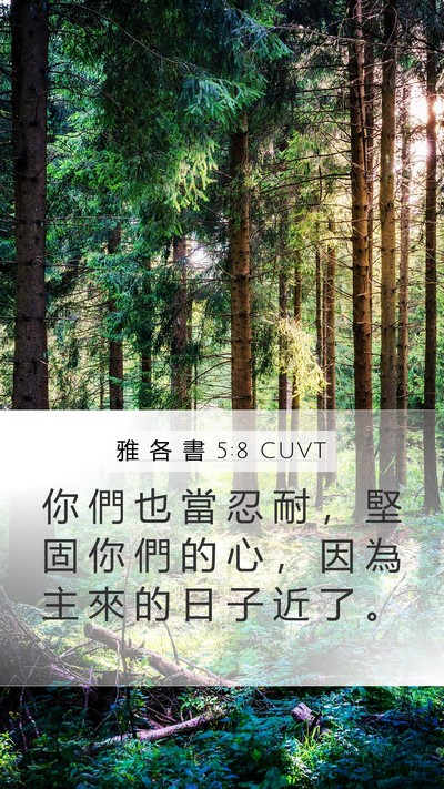 雅 各 書 5:8 CUVT Bible Verse Image