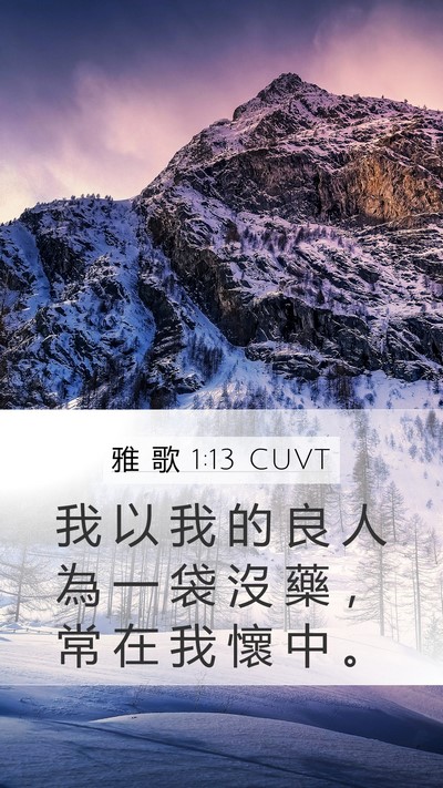 雅 歌 1:13 CUVT Bible Verse Image