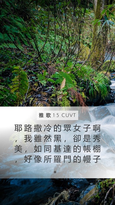 雅 歌 1:5 CUVT Bible Verse Image