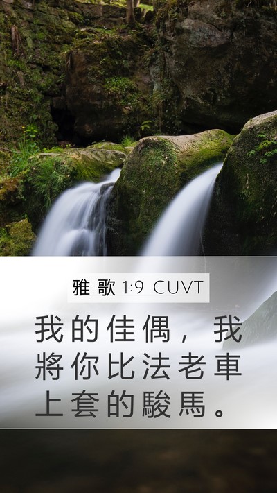 雅 歌 1:9 CUVT Bible Verse Image