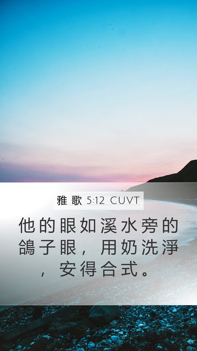 雅 歌 5:12 CUVT Mobile Phone Wallpaper - 他 的 眼 如 溪 水 旁 的 鴿 子 眼 ， - Mobile Bible Verse Wallpaper