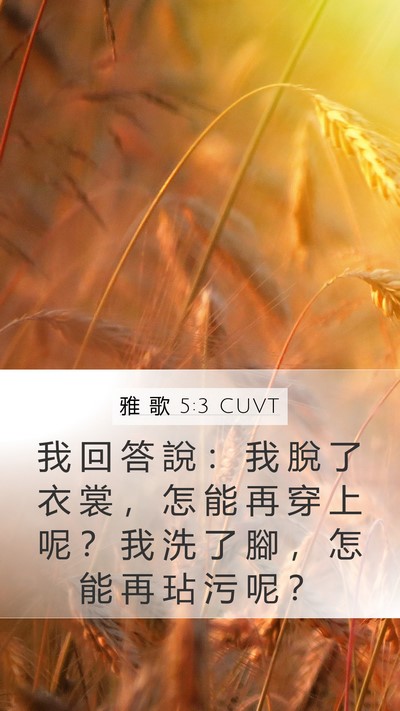 雅 歌 5:3 CUVT Mobile Phone Wallpaper - 我 回 答 說 ： 我 脫 了 衣 裳 ， 怎 - Mobile Bible Verse Wallpaper