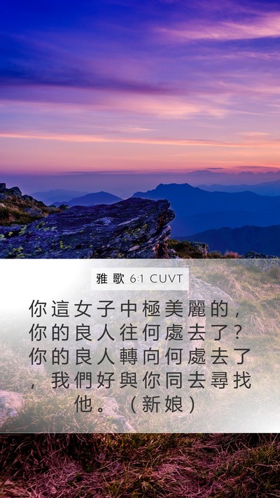 雅 歌 6:1 CUVT Bible Verse Image