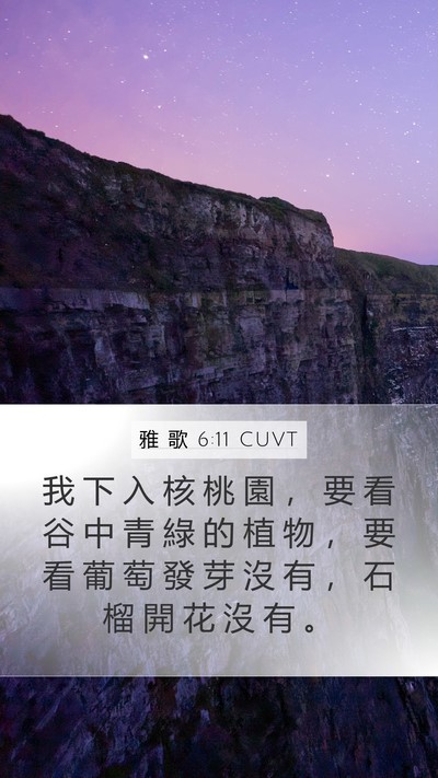 雅 歌 6:11 CUVT Bible Verse Image