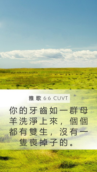 雅 歌 6:6 CUVT Bible Verse Image