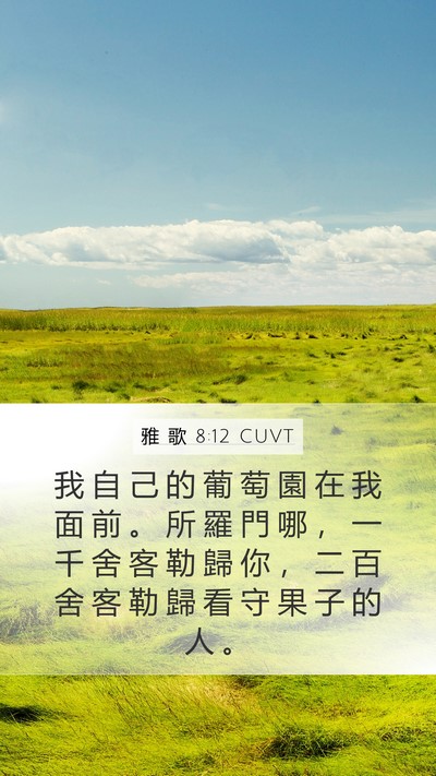 雅 歌 8:12 CUVT Mobile Phone Wallpaper - 我 自 己 的 葡 萄 園 在 我 面 前 。 - Mobile Bible Verse Wallpaper