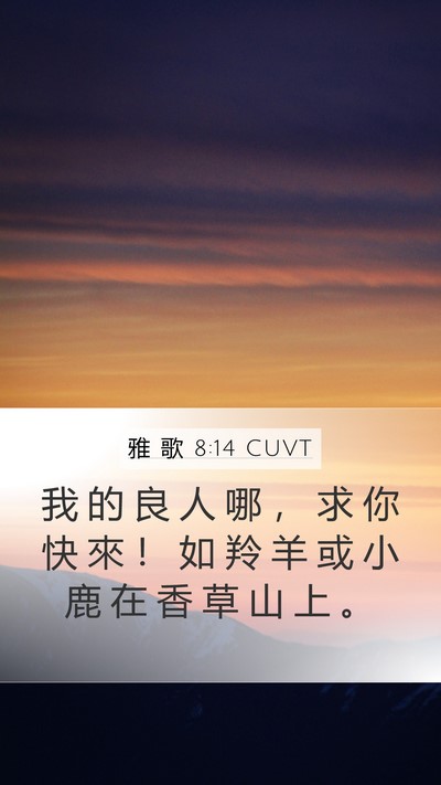 雅 歌 8:14 CUVT Bible Verse Image
